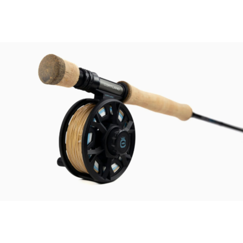 Rod & Reel
